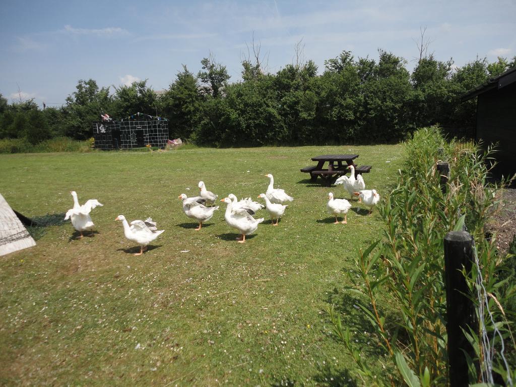 Willow Court Farm The Lodge & Petting Farm, 8 Mins From Legoland & Windsor, 15 Mins From Lapland Uk Экстерьер фото