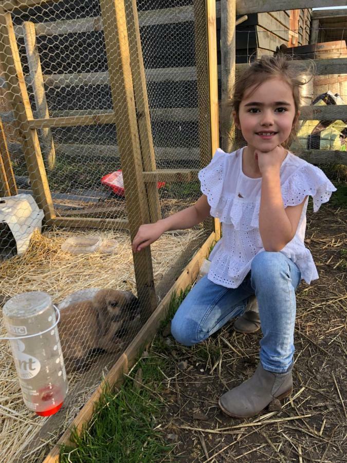 Willow Court Farm The Lodge & Petting Farm, 8 Mins From Legoland & Windsor, 15 Mins From Lapland Uk Экстерьер фото