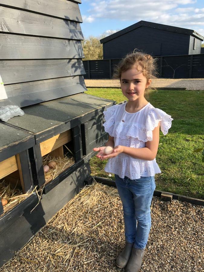 Willow Court Farm The Lodge & Petting Farm, 8 Mins From Legoland & Windsor, 15 Mins From Lapland Uk Экстерьер фото