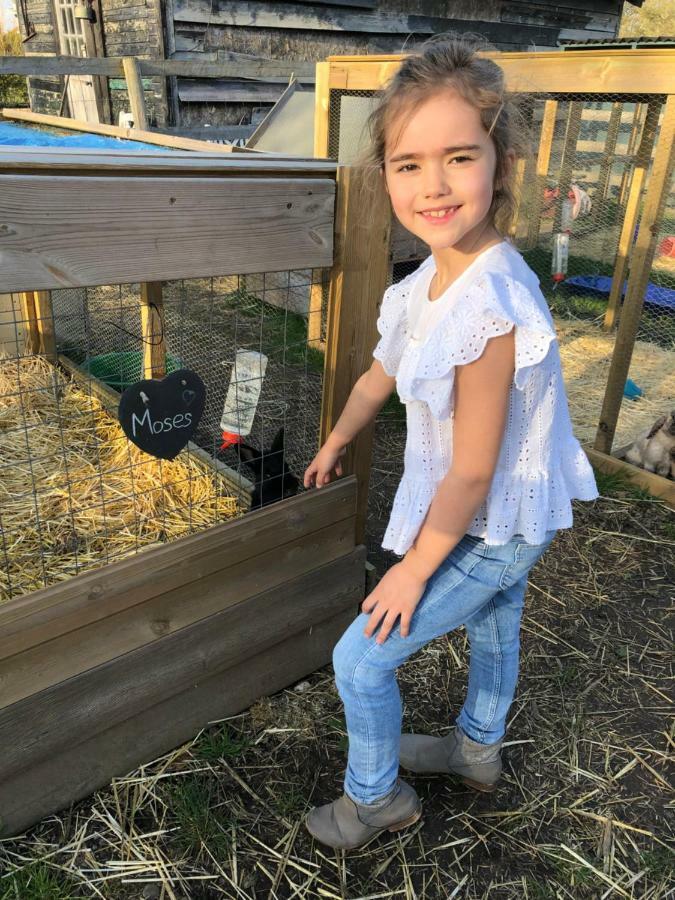 Willow Court Farm The Lodge & Petting Farm, 8 Mins From Legoland & Windsor, 15 Mins From Lapland Uk Экстерьер фото