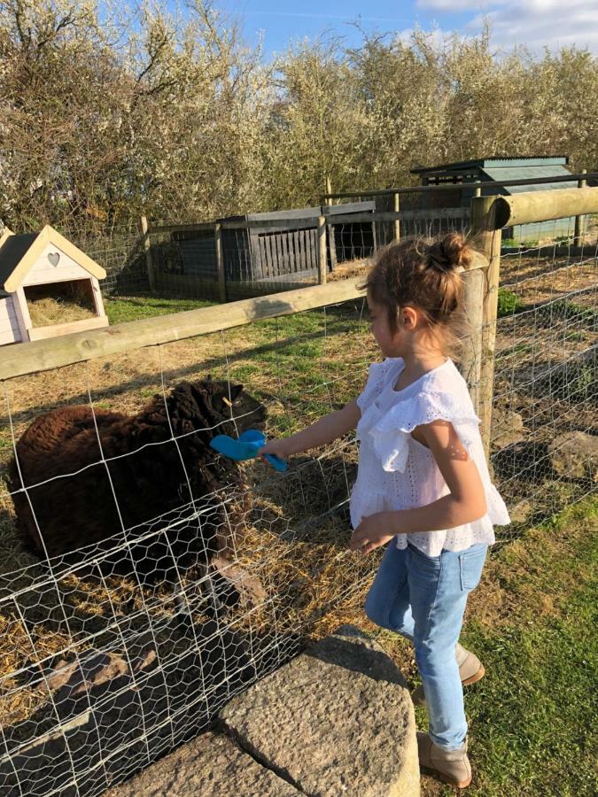 Willow Court Farm The Lodge & Petting Farm, 8 Mins From Legoland & Windsor, 15 Mins From Lapland Uk Экстерьер фото