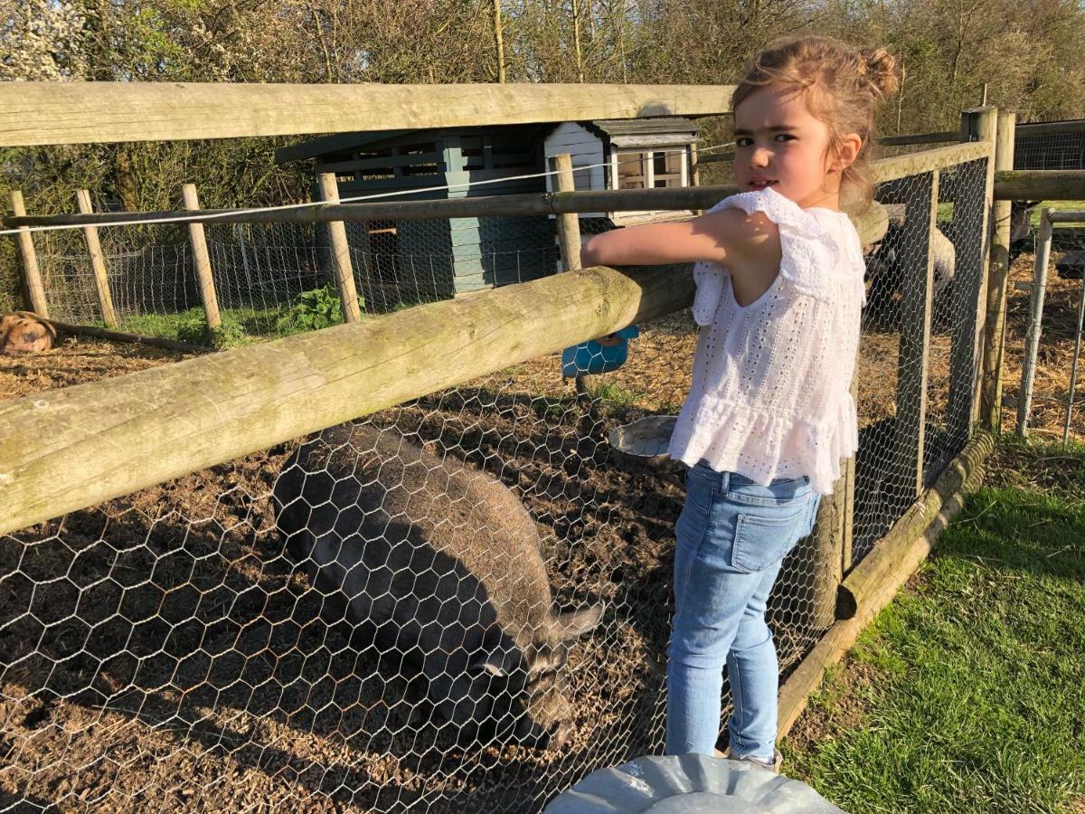 Willow Court Farm The Lodge & Petting Farm, 8 Mins From Legoland & Windsor, 15 Mins From Lapland Uk Экстерьер фото