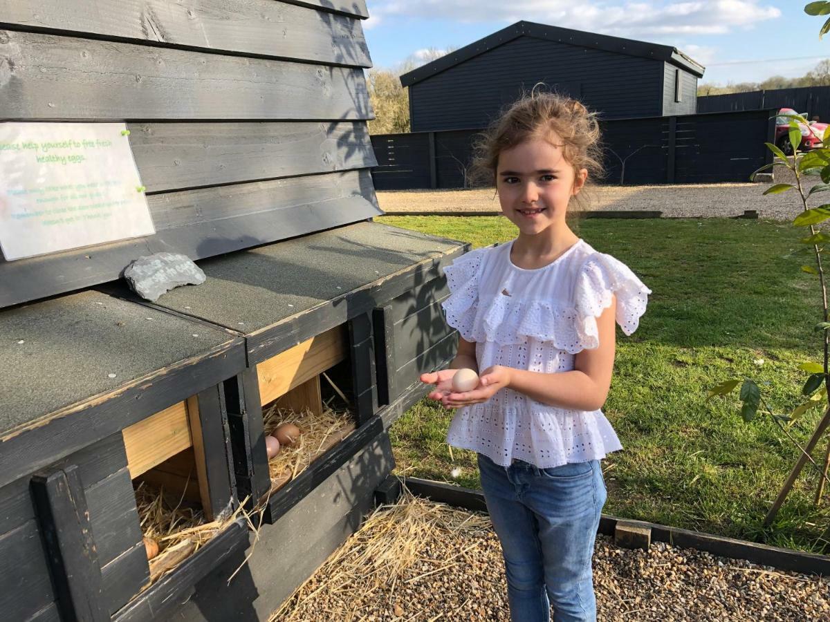 Willow Court Farm The Lodge & Petting Farm, 8 Mins From Legoland & Windsor, 15 Mins From Lapland Uk Экстерьер фото